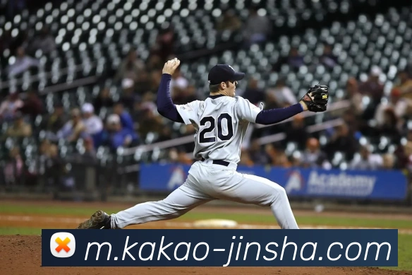 金沙国际APP 封面图